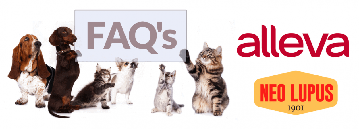 FAQs (1) FAQs (1)